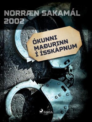 cover image of Ókunni maðurinn í ísskápnum